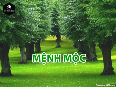 Mệnh Mộc là gì?