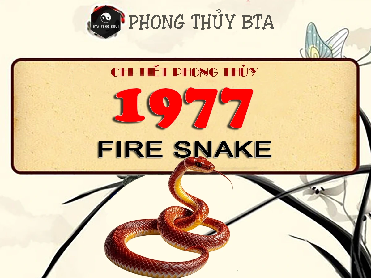 1977 Chinese Zodiac - Year of the Fire Snake