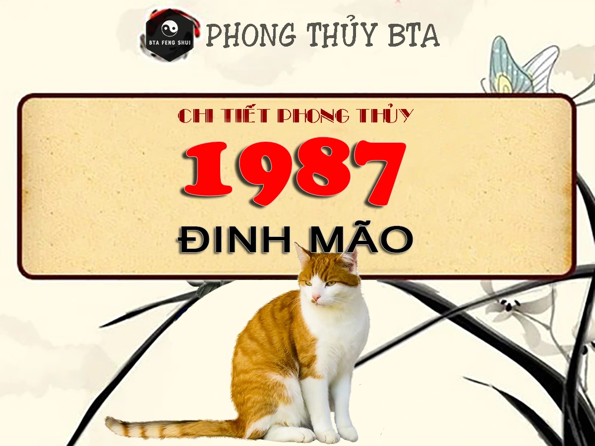 Sinh Năm 1987 Mệnh Gì? Tuổi Đinh Mão Hợp Màu Gì? Sinh năm 1987 tuổi gì?