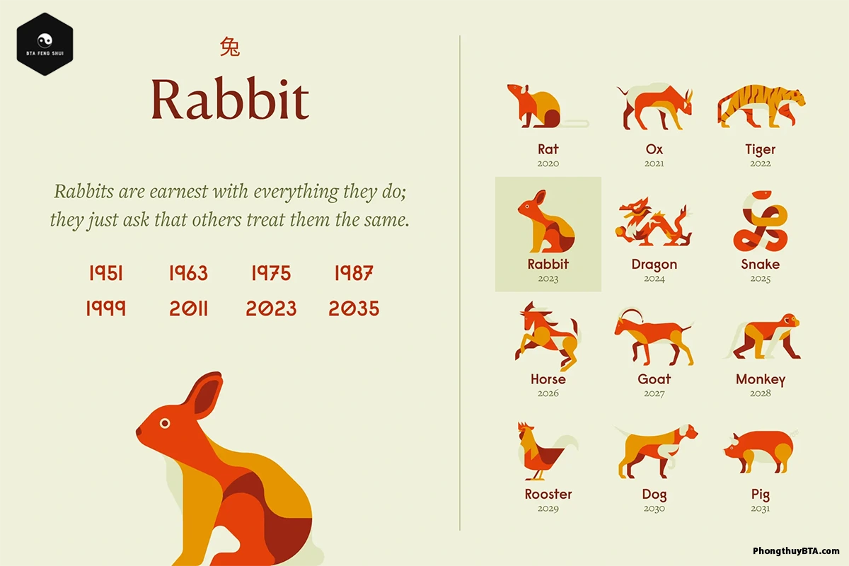 Year of the Rabbit
