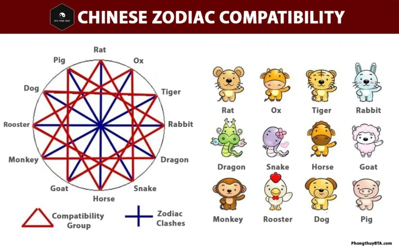 Chinese Zodiac Compatibility