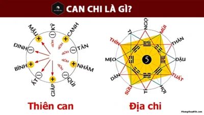 Can Chi là gì?