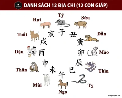 Địa Chi là gì? Danh sách 12 Địa Chi