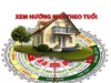 Feng Shui House Direction: How to Find Yours Easily Xem hướng nhà theo tuổi