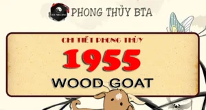 1955 Chinese Zodiac: Year Of The Wood Goat 1955 Chinese Zodiac Amimal