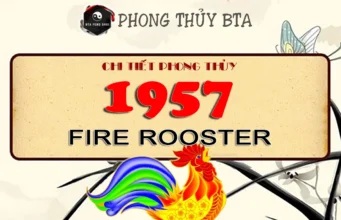 1957 Chinese Zodiac: Year Of The Fire Rooster 1957 Chinese Zodiac Amimal