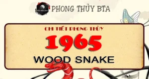 1965 Chinese Zodiac: Year Of The Wood Snake 1965 Chinese Zodiac Amimal