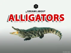 Dreaming About Alligators or Crocodiles? Hidden Meanings meaning of dreams about alligators