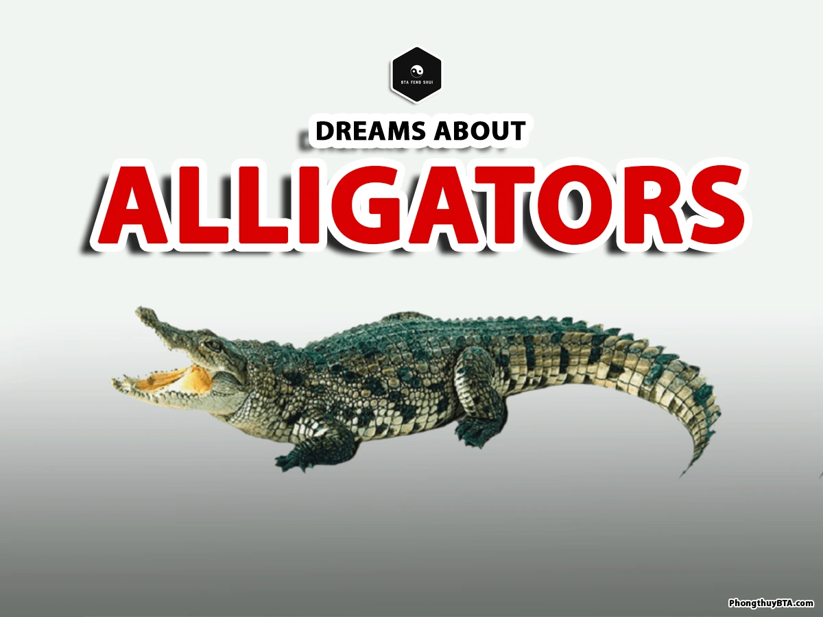 meaning of dreams about alligators