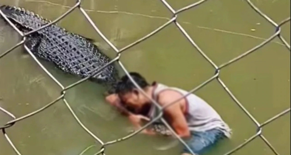 meaning of dreaming about crocodiles