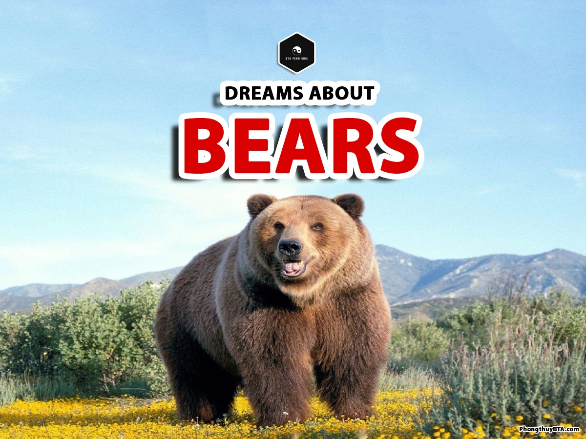 what do bears mean in dreams