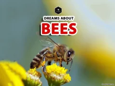 Dreaming of Bees? Discover the Hidden Spiritual Meaning! meaning of dreaming with bees