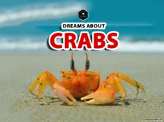 Dreaming of Crabs: Spiritual and Symbolic Meanings dream crabs meaning