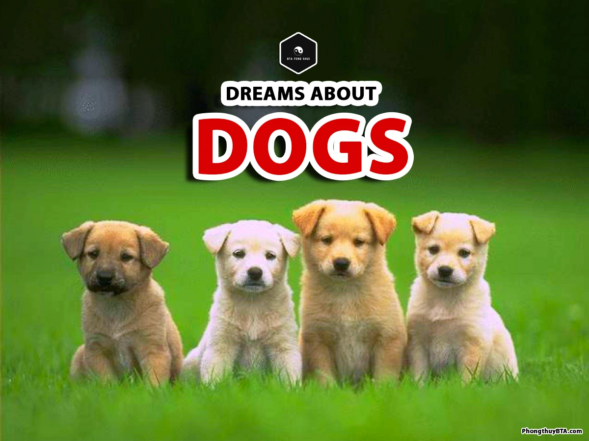 meaning of dreams with dogs