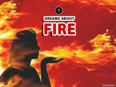What Do Dreams of Fire Mean? Unlock Its Hidden Symbolism dreamed about fire