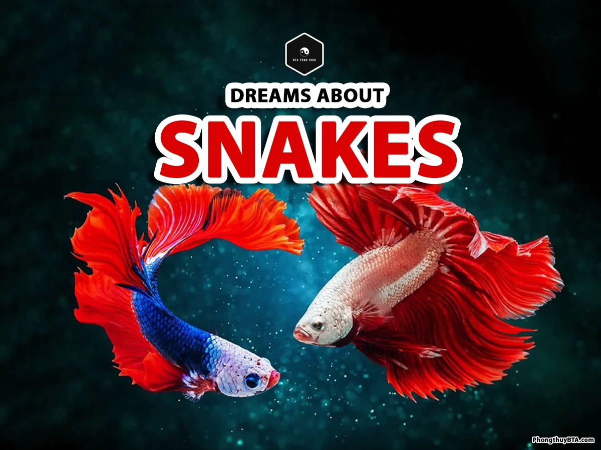 dream meaning about fish