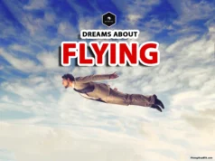 Flying Dream Meaning: Spiritual and Symbolic Insights Revealed what does flying in a dream mean