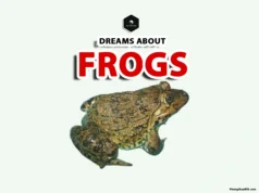 Dreaming About Frogs: Spiritual Meanings and Symbolism dreaming about frogs meaning
