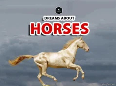 Horse Dream Meaning: Unraveling the Symbolism of Horses in Dreams horse in dream means