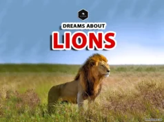 Lion Dream Meaning: What Does It Mean to Dream About Lions? meaning of dreams about lions