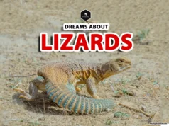 Lizard Dream Meaning: Spiritual and Symbolic Insights dream interpretation of lizard