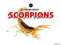 Scorpion Dream Meaning: Hidden Messages and Symbolism scorpion dream meaning