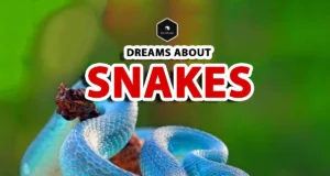 Dreams about Snakes