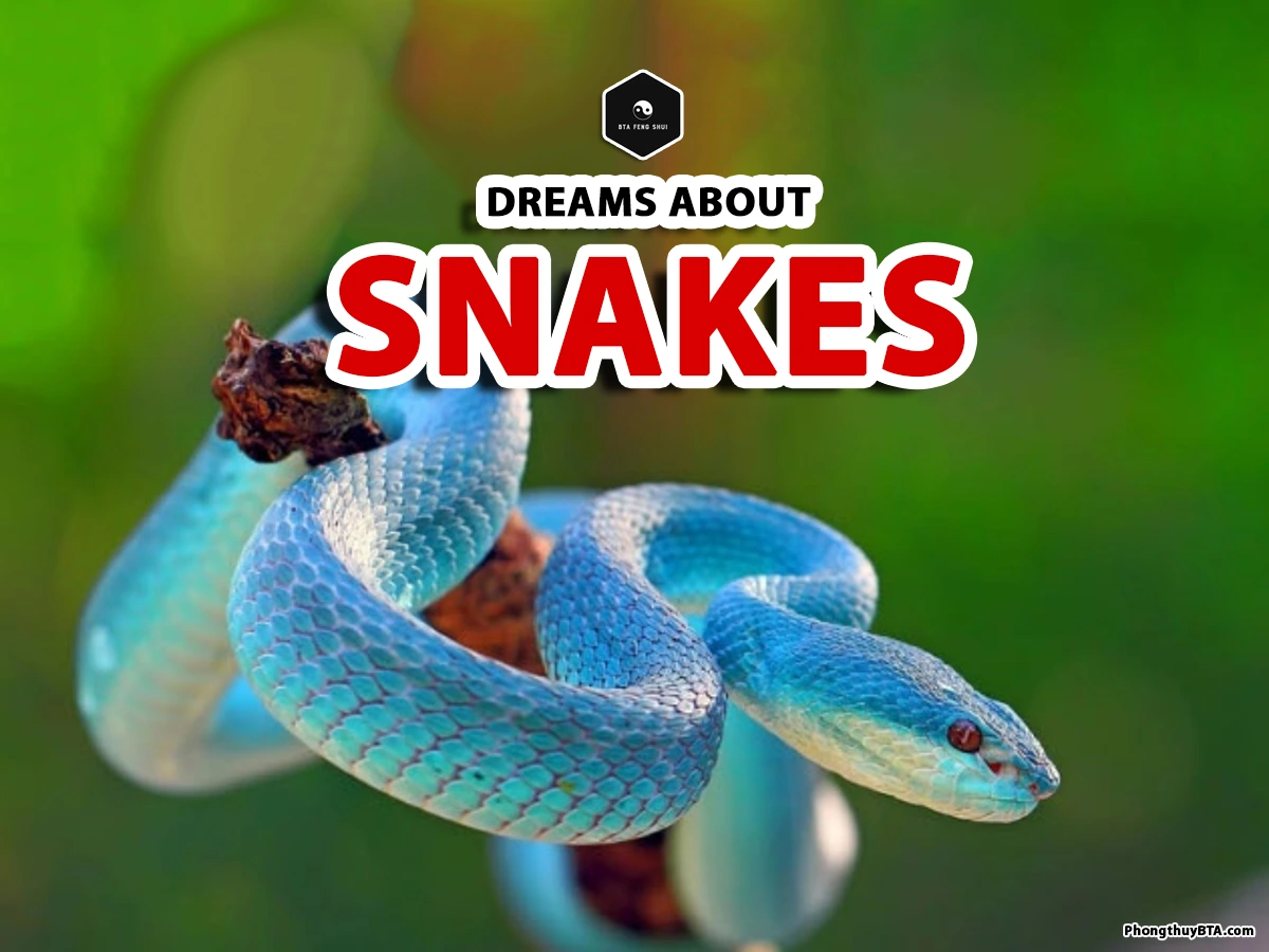 Dreams about Snakes