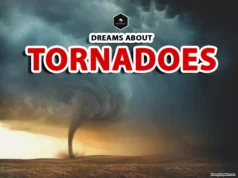 What Do Tornado Dreams Mean? Unlock Their Hidden Symbolism dreams about tornadoes