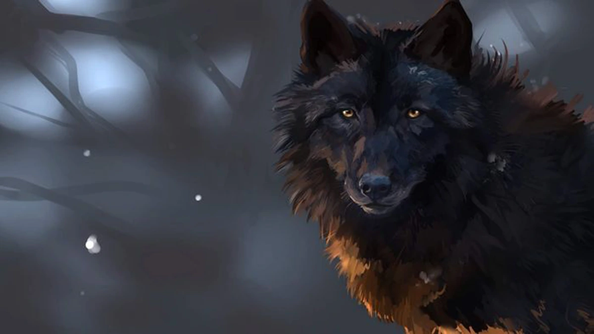 dreaming about a black wolf