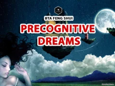 Precognitive Dreams: Can They Predict the Future? can dreams predict the future