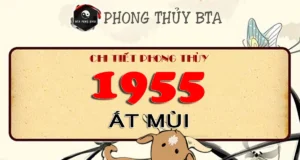 Sinh năm 1955 tuổi gì, mệnh gì? Giải mã chi tiết tuổi Ất Mùi Sinh năm 1955 tuổi gì?