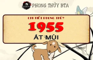 Sinh năm 1955 tuổi gì, mệnh gì? Giải mã chi tiết tuổi Ất Mùi Sinh năm 1955 tuổi gì?