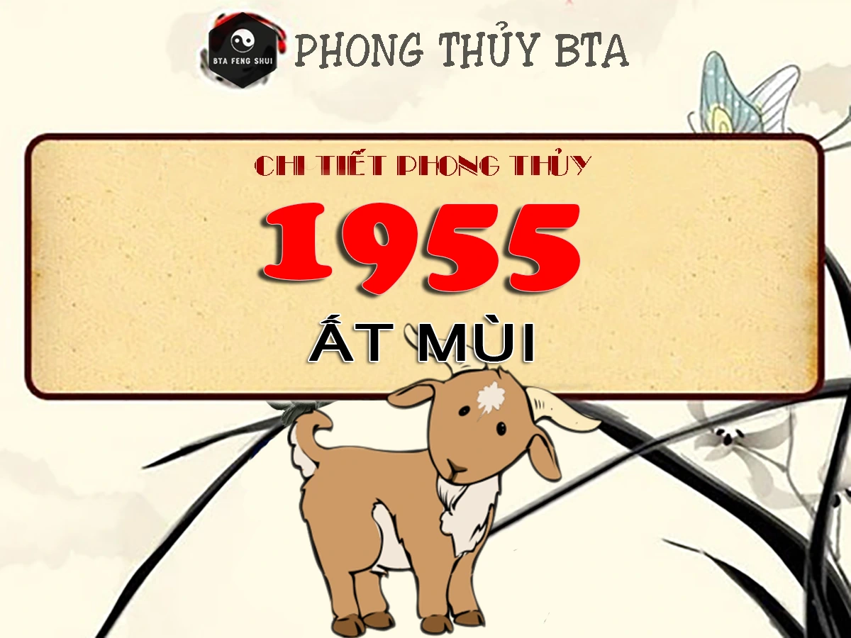 Sinh năm 1955 tuổi gì?