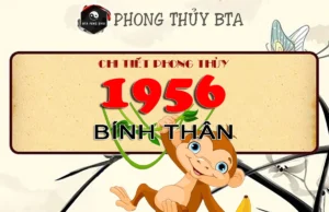Sinh năm 1956 mệnh gì, tuổi gì? Giải mã bí ẩn tuổi Bính Thân Sinh năm 1956 tuổi gì?