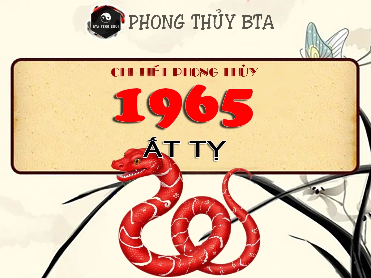 Sinh năm 1965 tuổi gì?