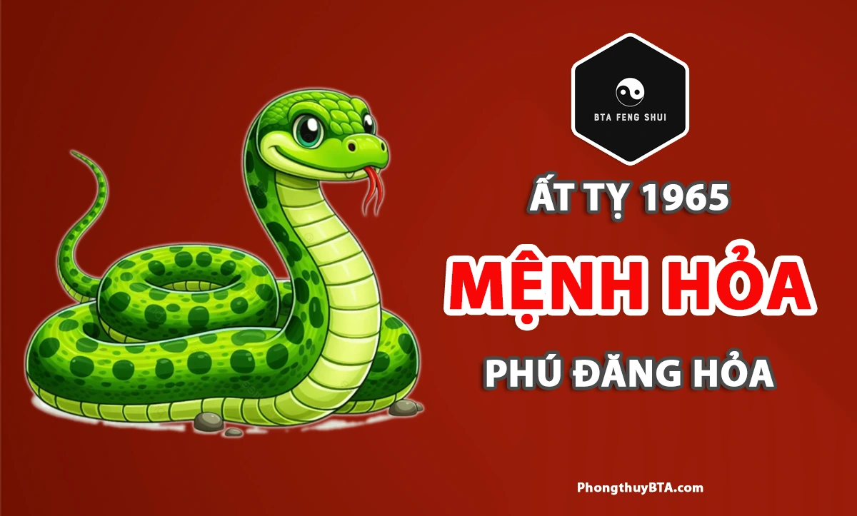 Sinh năm 1965 mệnh gì?
