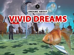 Vivid Dreams: Causes, Meanings, and How to Manage Them vivid dreams meaning