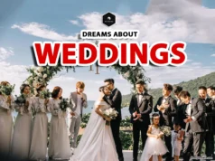 Wedding Dream Meaning: Signs from Your Subconscious wedding in a dream means