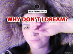 Why Don’t I Dream? Understanding the Causes and Solutions why don't i dream anymore