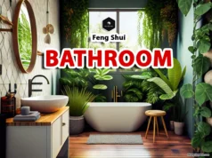 Feng Shui Bathroom Tips: Colors, Plants & Décor for Harmony feng shui bathroom