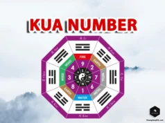 What Is a Kua Number? How to Calculate Your Kua Number what is kua number