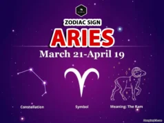Aries Zodiac Sign: Traits, Love, and Career Guide Aries Zodiac Sign