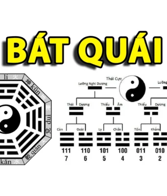 Bát Quái Là Gì? Ý Nghĩa & Ứng Dụng Trong Phong Thủy Bát quái là gì?