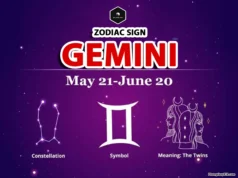 Gemini Zodiac Sign: Personality, Traits, Love, and Career Insights Gemini Zodiac Sign