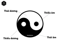 Understanding Yin and Yang: Balance in Life and Nature Âm Dương Ngũ Hành (Thái Cực Đồ)