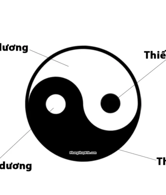 Âm Dương Ngũ Hành: Cẩm Nang Phong Thủy Toàn Diện Âm Dương Ngũ Hành (Thái Cực Đồ)