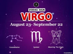 Virgo Zodiac Sign: Dates, Personality, Traits, and Horoscope virgo zodiac sign