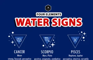 What Are Water Signs? Cancer, Scorpio & Pisces Explained water signs zodiac