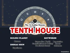 The Tenth House: The House of Career and Reputation Tenth House in Astrology